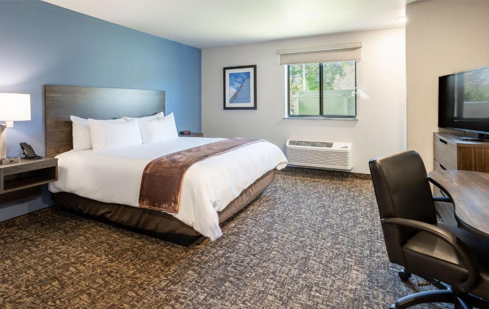 Queen Room - Hearing & Mobility Accessible - Roll In Shower interior